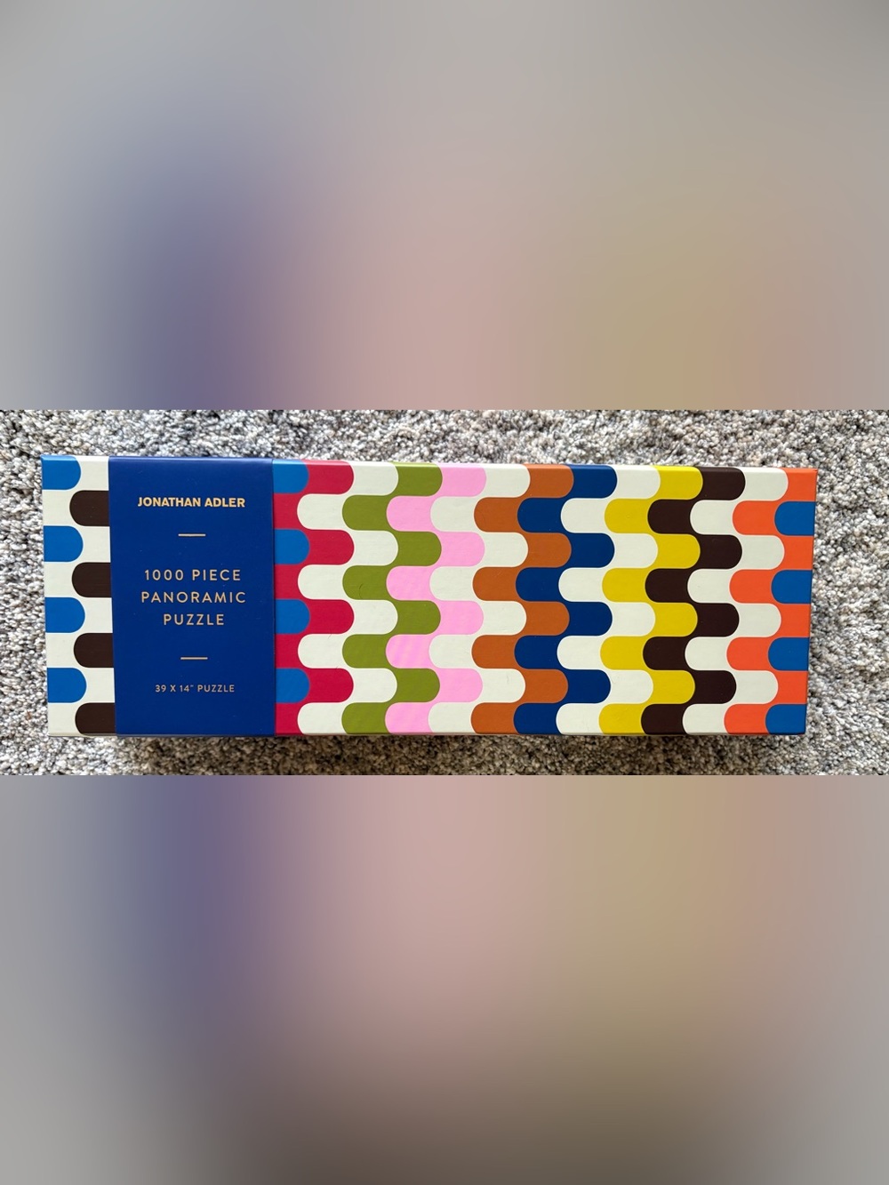 1000 piece panoramic puzzle, Jonathan Adler, Galison, complete